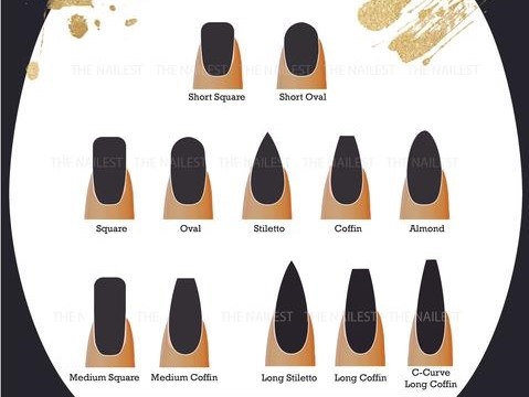 template different nail shapes and length