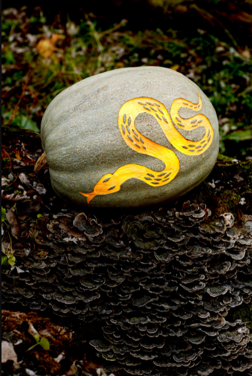 Snake carving on a pumpkin