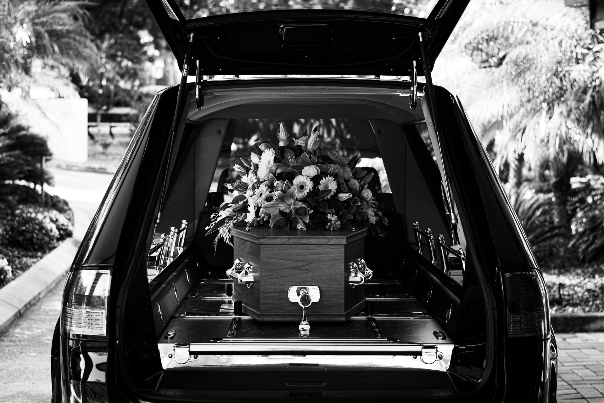 Funeral Program Template Free - Best Of 2021