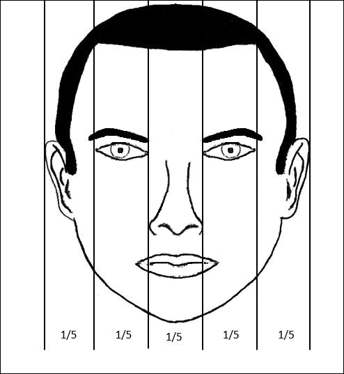 A male face divided into equal vertical fifths