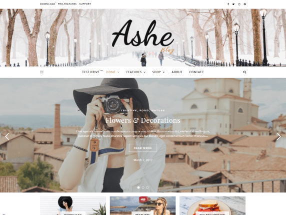 Ashe free wordpress theme
