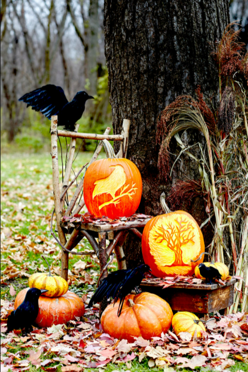 Crow and tree carved on a pumpkin with real life crow beside it