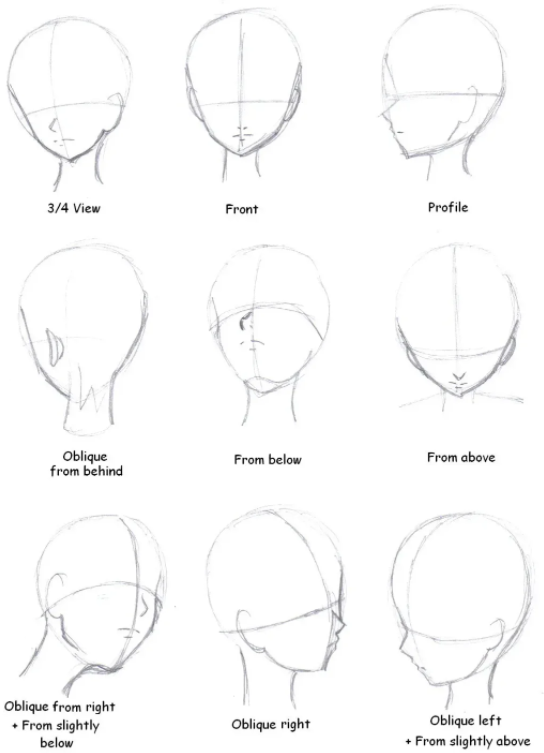 Sketches of Perfect Face Template for Animation