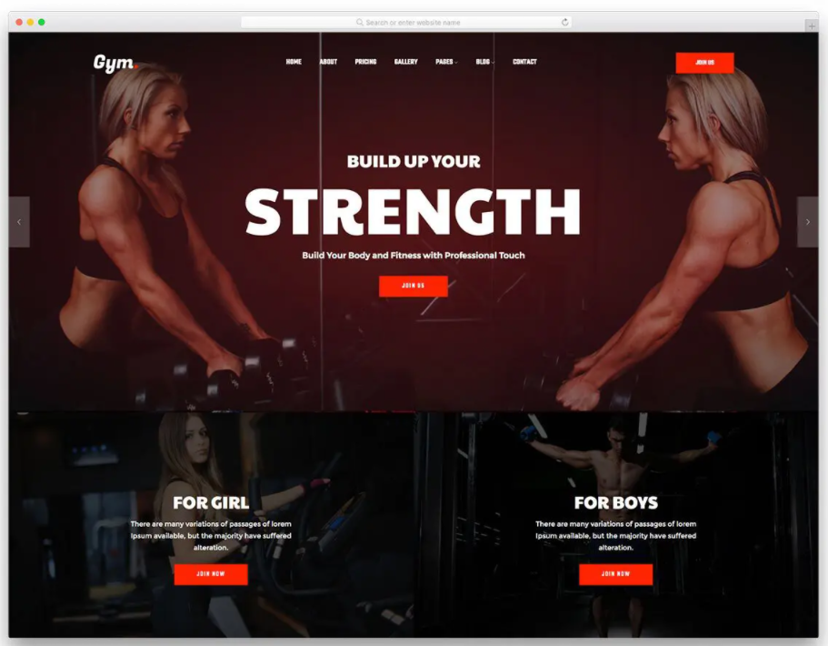 Sample of Gym2 Template used in fitness website in MAC PC