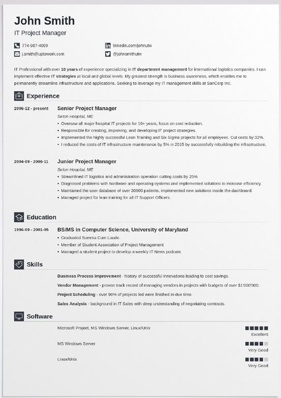 Sample page of iconic resume template
