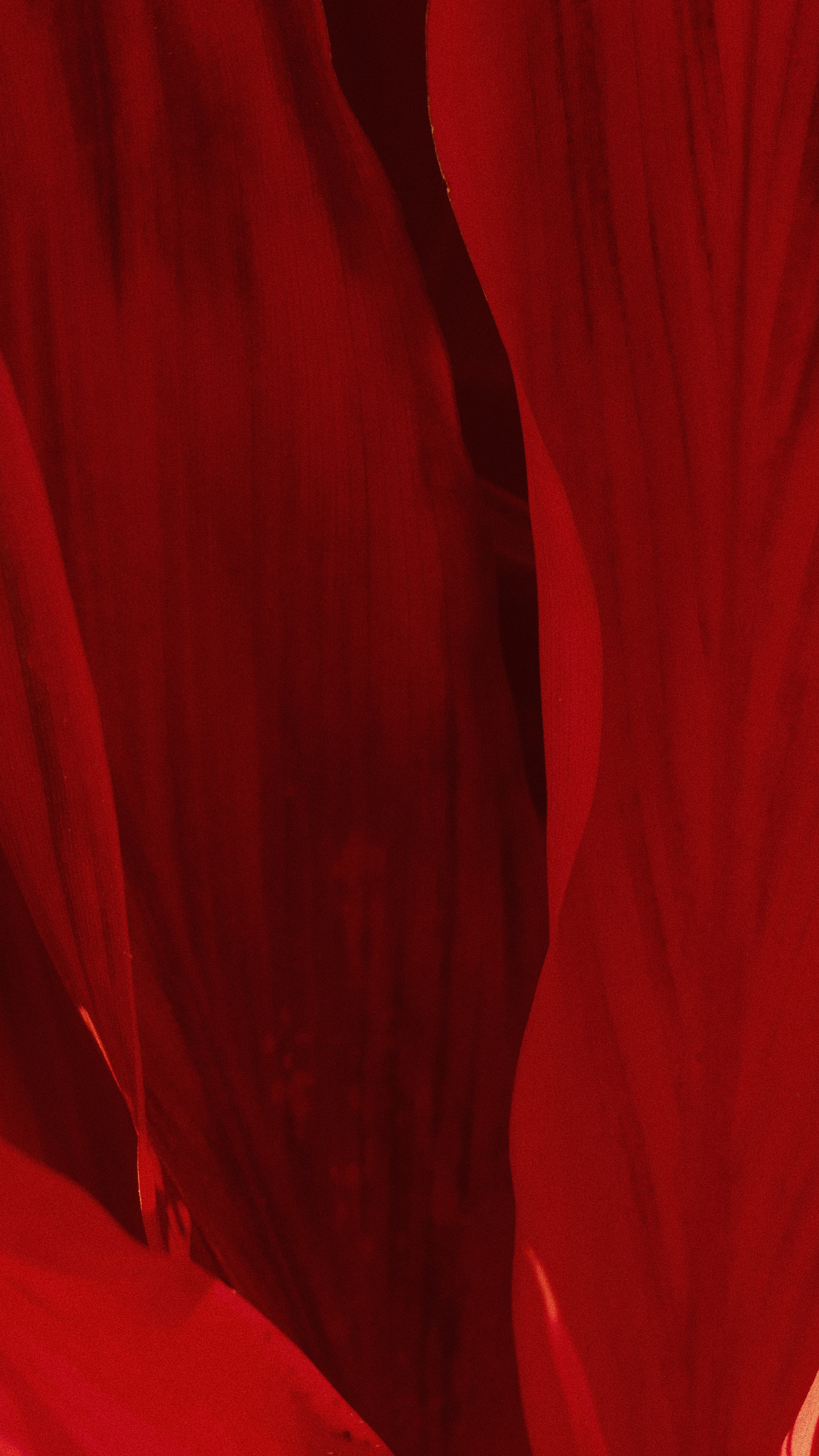 How To Install Red Wallpapers With Android Emulators