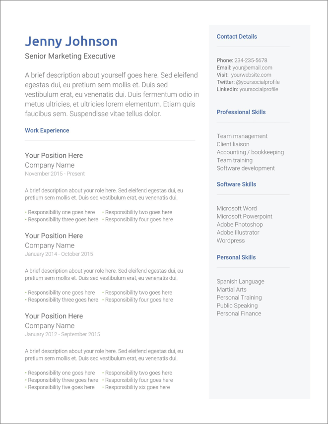 Sample of a Gray Sidebar Resume Template Google Docs