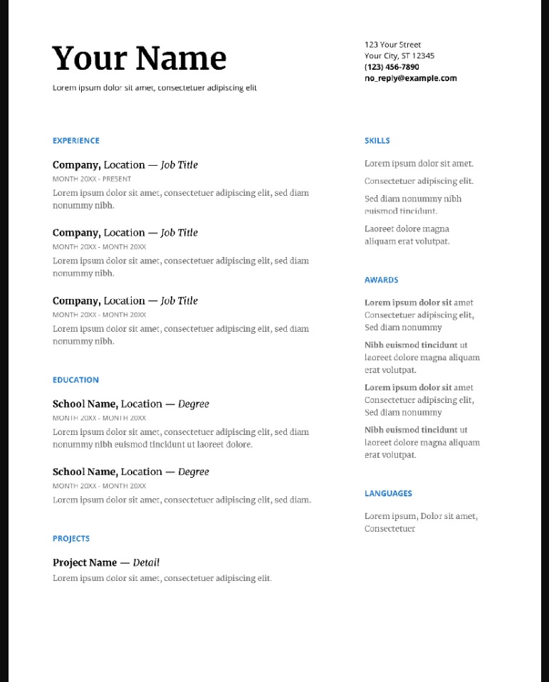 Sample of a Serif Resume Template Google Docs