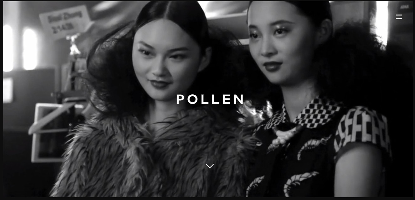 Screenshot of webpage of Pollen graphic design website