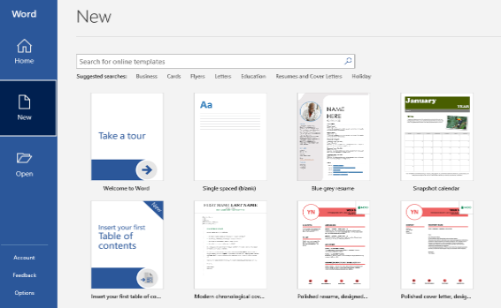 Screenshot of different MS Word templates
