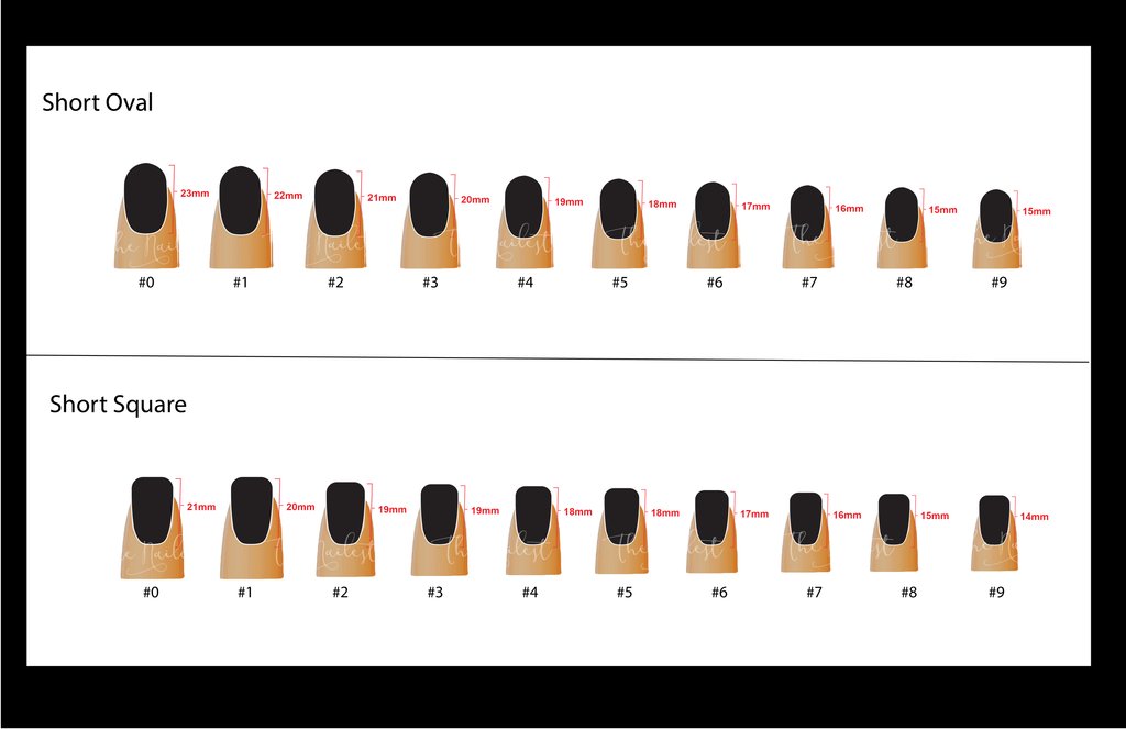 Template for different types of short nail lengths