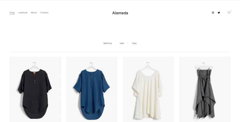 Homepage of website using Alameda Squarespace template