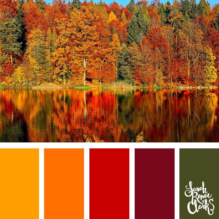 Three colors that will distract us from the cold climate of the upcoming season: yellow, orange, and pink will be the three It shades of Fall/Winter 2021.