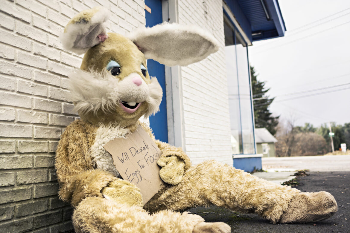 Person sitting on a pavement in unhappy rabbit suit holding a handwritten sign that says ‘Will Decorate Eggs For Food’