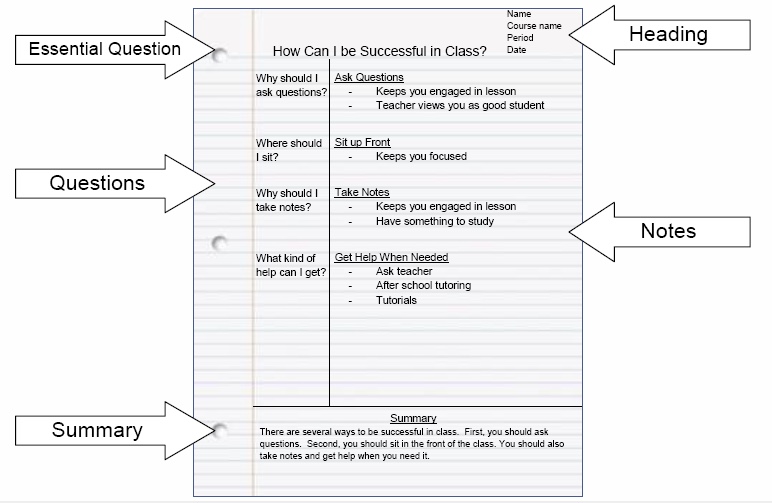 Basic Elements Of Avid Cornell Notes Template
