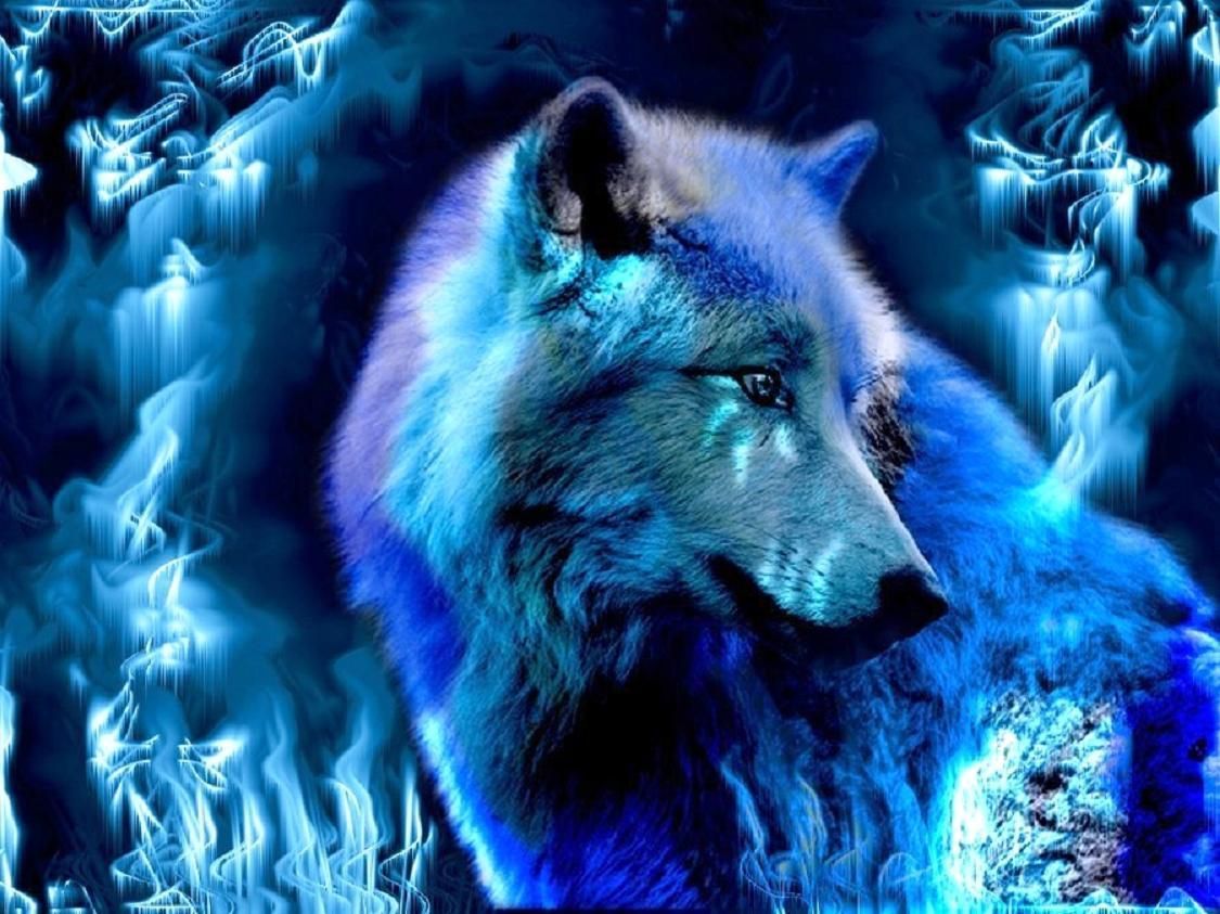 Blue HD Wolf Wallpaper