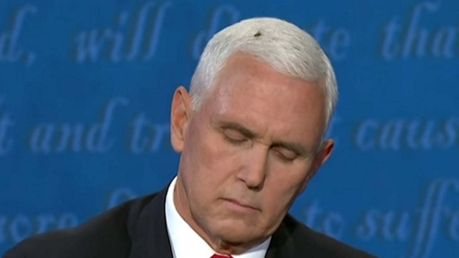 A fly rests on the head of US Vice President Mike Pence with his eyes closed
