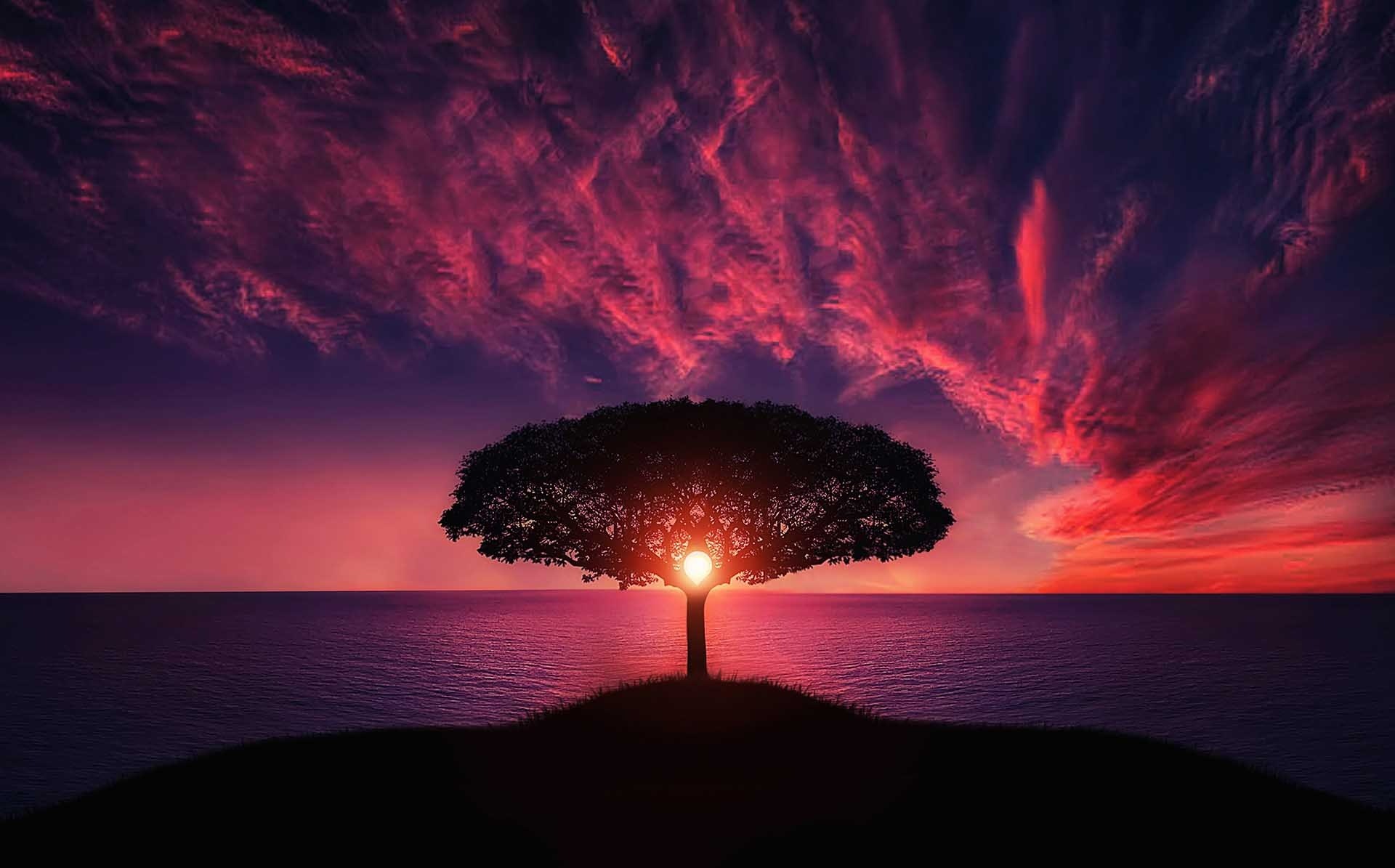 Beautiful Sky With A Tree Between The Landscape
